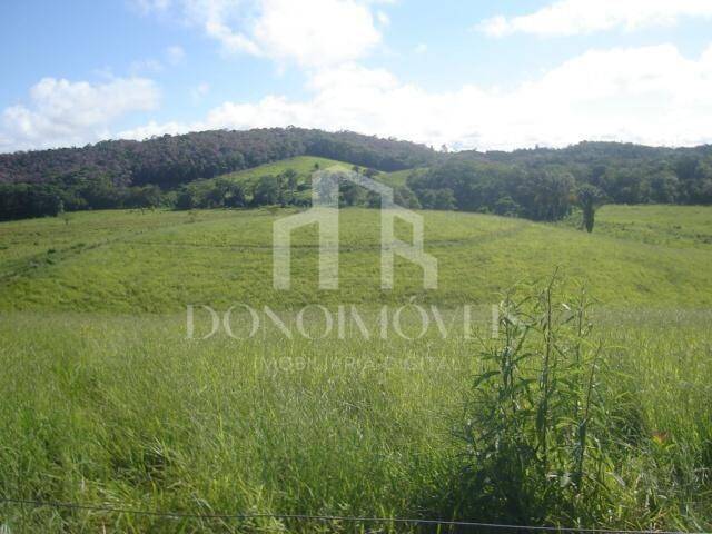 Terreno, 20 hectares - Foto 3