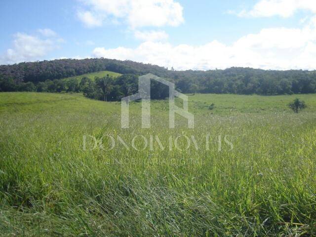 Terreno, 20 hectares - Foto 4
