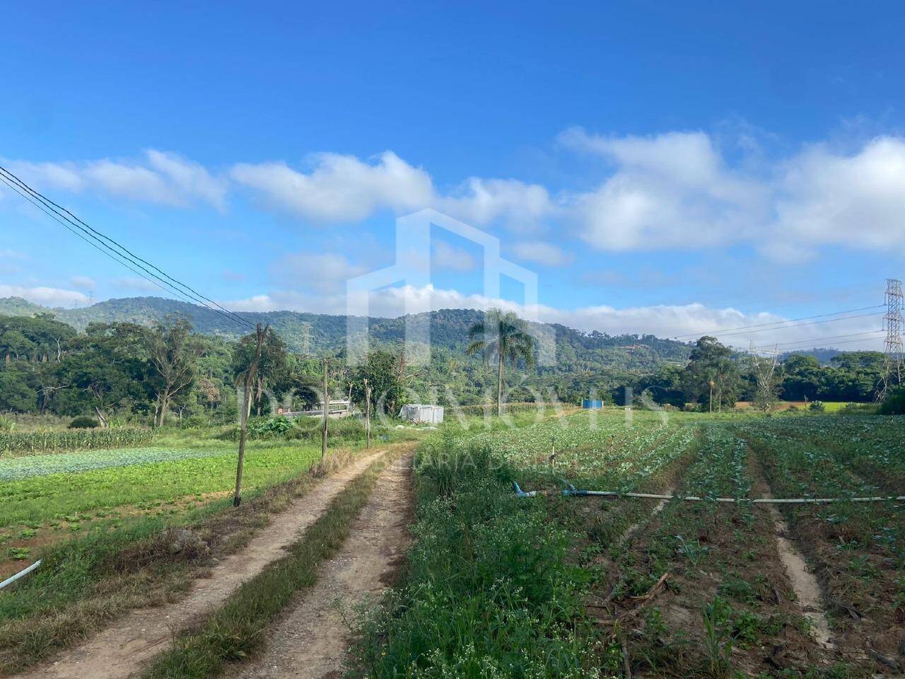 Terreno, 20 hectares - Foto 8