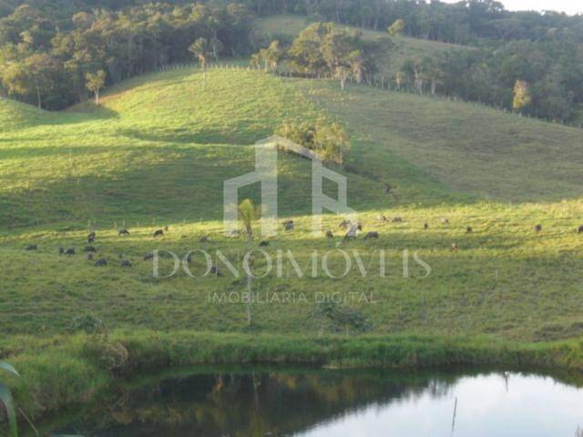 Terreno, 20 hectares - Foto 9