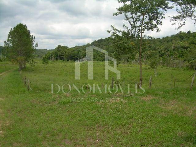Terreno, 20 hectares - Foto 13