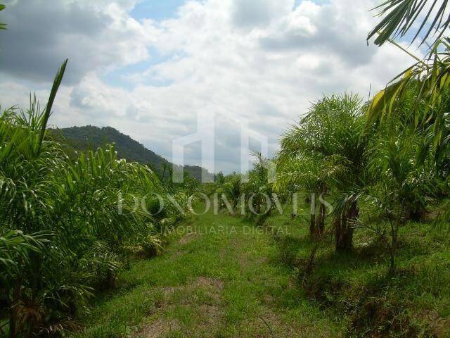 Terreno, 20 hectares - Foto 14