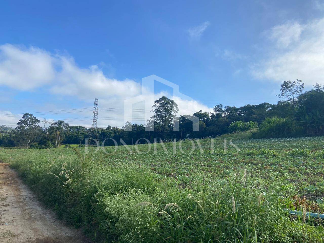 Terreno, 20 hectares - Foto 22