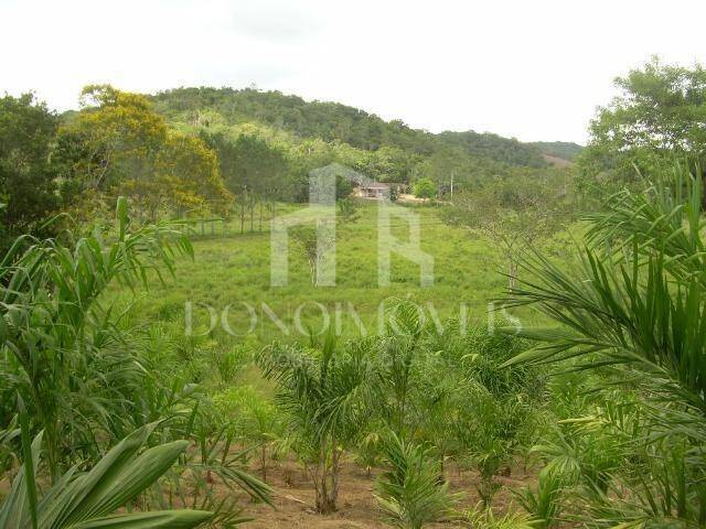 Terreno, 20 hectares - Foto 24
