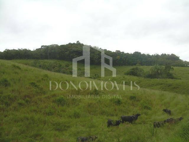 Terreno, 20 hectares - Foto 29